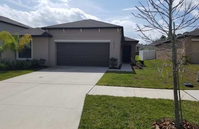 36018 Stable Wilk Ave. - 36018 Stable Wilk Avenue, Zephyrhills, FL 33541
