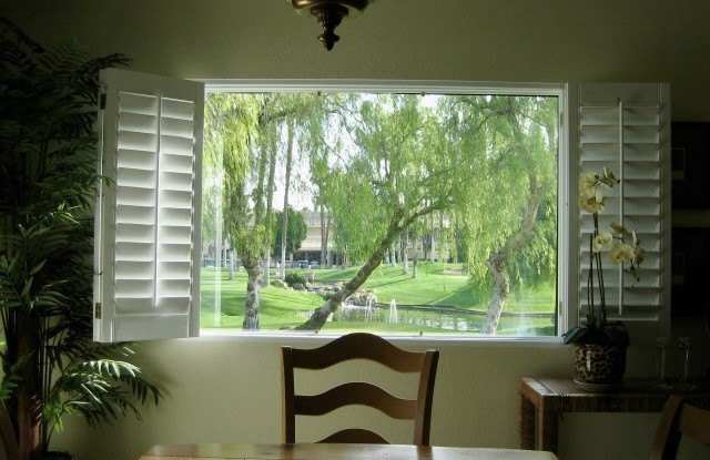 76268 Impatiens Circle Gallery 3