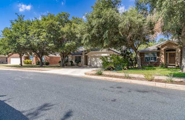 1010 Klondike Loop Round Rock, TX 78665 Gallery 4