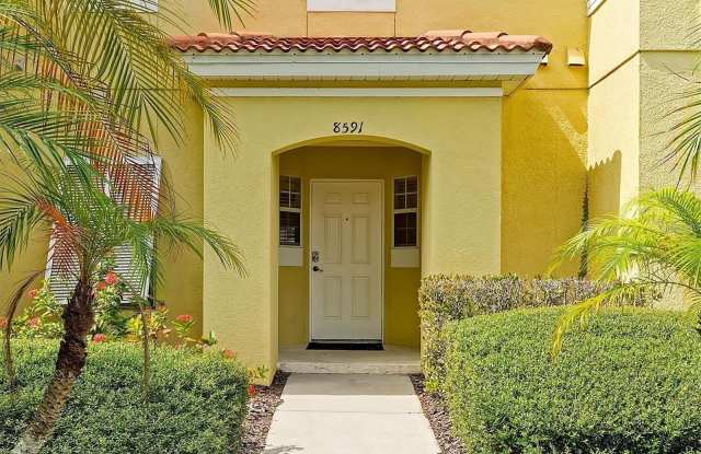 8591 BAY LILLY Loop Gallery 3