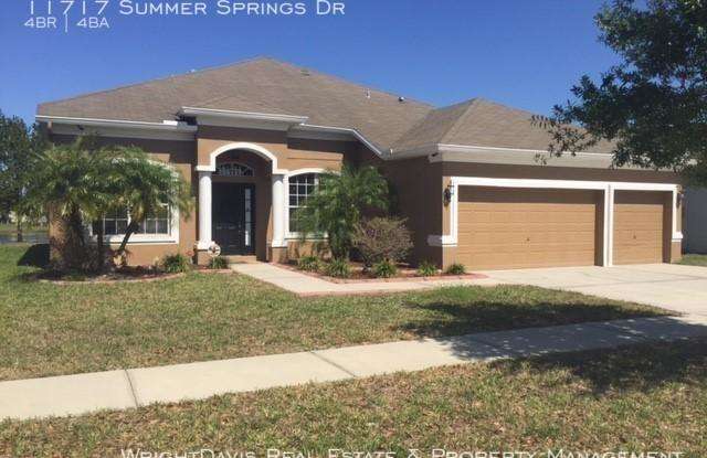 11717 Summer Springs Dr - 11717 Summer Springs Drive, Riverview, FL 33579
