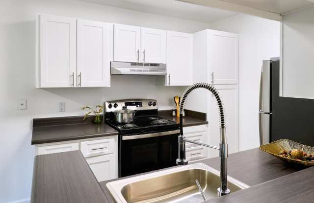 Monte Vista Apartments Gallery 4