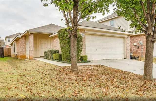 2704 Mountain Lion Drive - 2704 Mountain Lion Drive, Fort Worth, TX 76244