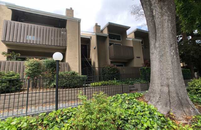 1497 De Rose Way #109 Gallery 2