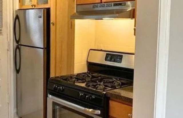 East Rogers Park Two Bedroom~ Cats Welcome~ Historic Building ~ Close to the Lake Gallery 3