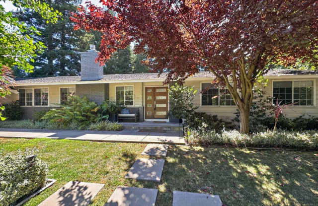 Gorgeous 4 Bedroom PLUS Spacious Bonus Room with Pool in Desired Alamo Neighborhood Available Now! Gallery 4