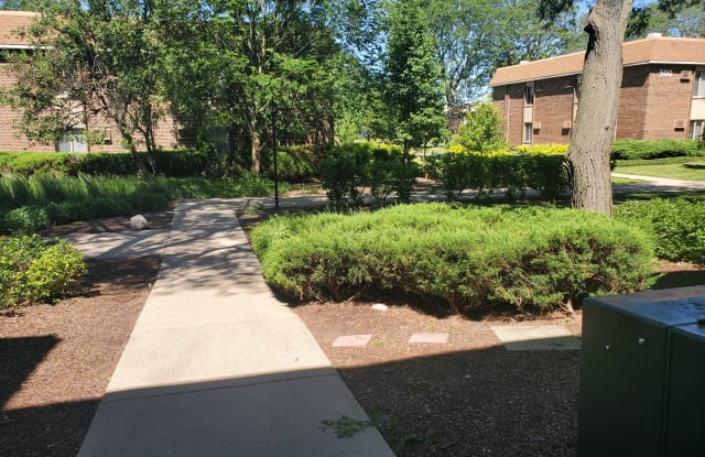 460 N Wilke Rd - 460 North Wilke Road, Palatine, IL 60074