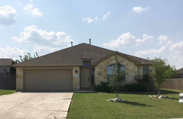 145 Amber Ash Dr. - 145 Amber Ash Drive, Kyle, TX 78640