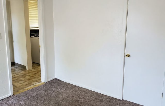 1380 Chris Lane Gallery 3