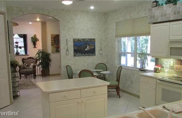 4209 Preserve Place - 4209 Preserve Place, East Lake, FL 34685