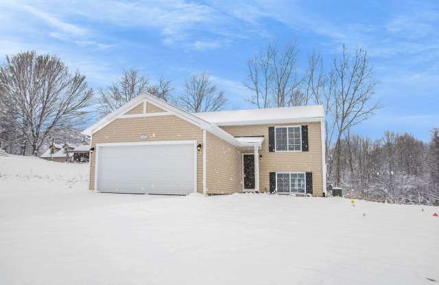 17544 Silver Maple Street photos photos