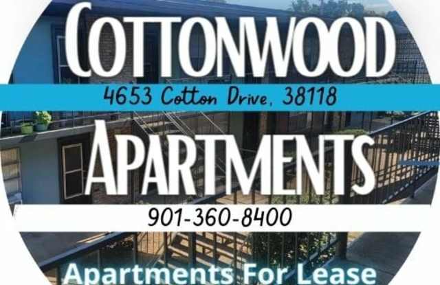 Cottonwood Gallery 3