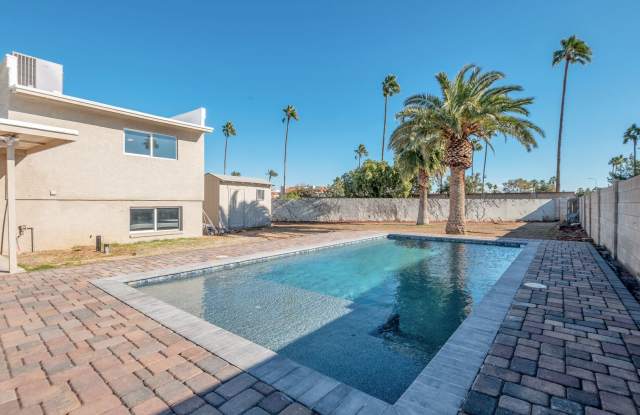 Large 6 Bed/3 Bath house close to ASU with awesome backyard photos photos