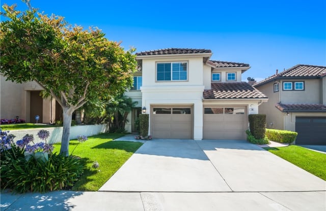 36 Regina - 36 Regina, Dana Point, CA 92629
