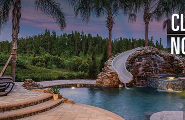 30268 Southernwood Court - 30268 Southernwood Ct, Wesley Chapel, FL 33543