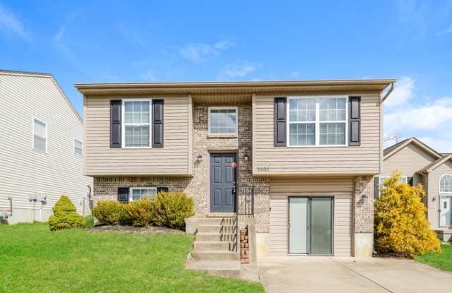 1530 Singh Street photos photos