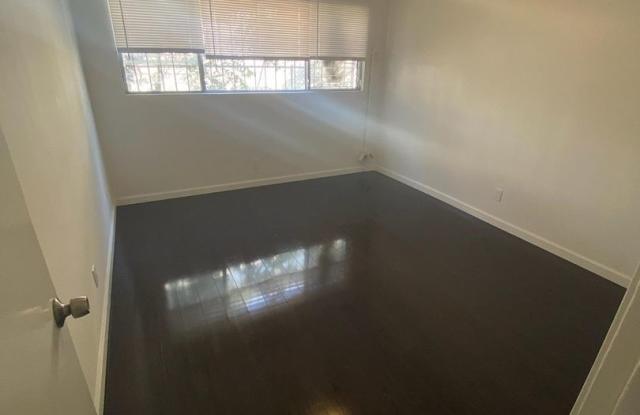 Hummingbird 204 photos photos