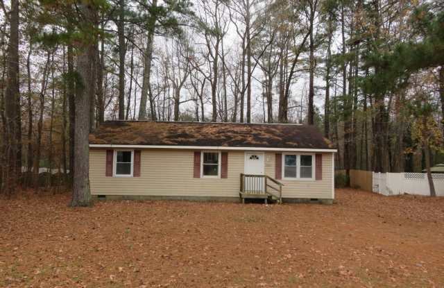 Chesterfield - 20112 Shire Oak Drive, Chesterfield County, VA 23803