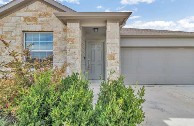 21316 Quick Fox Drive Pflugerville, TX 78660 photos photos