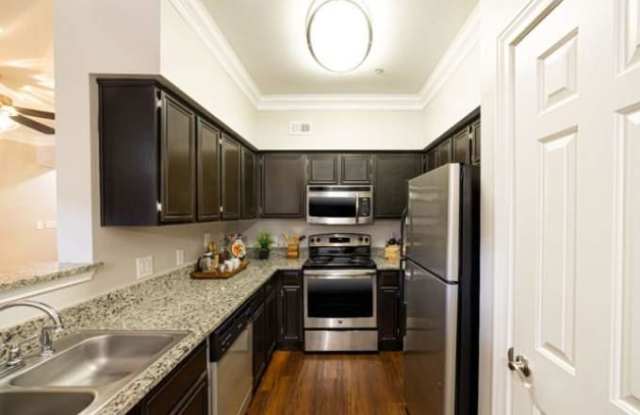 10114 Great Hills Trail Gallery 3