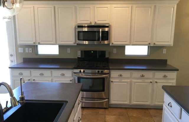 3556 TUNDRA SWAN STREET Gallery 2