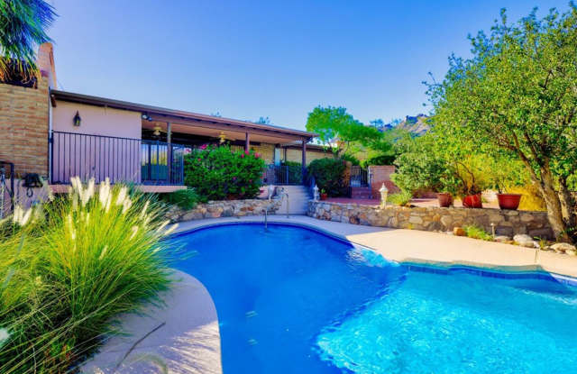 Enjoy stunning Catalina Mountain views from the comfort of your lovely yard! photos photos