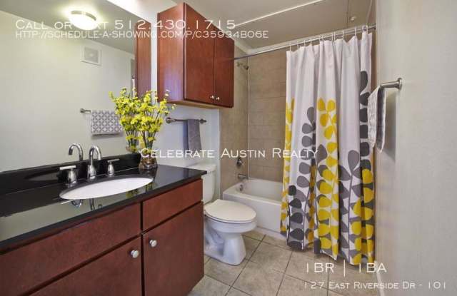 127 East Riverside Dr - 127 Riverside Dr, Austin, TX 78704