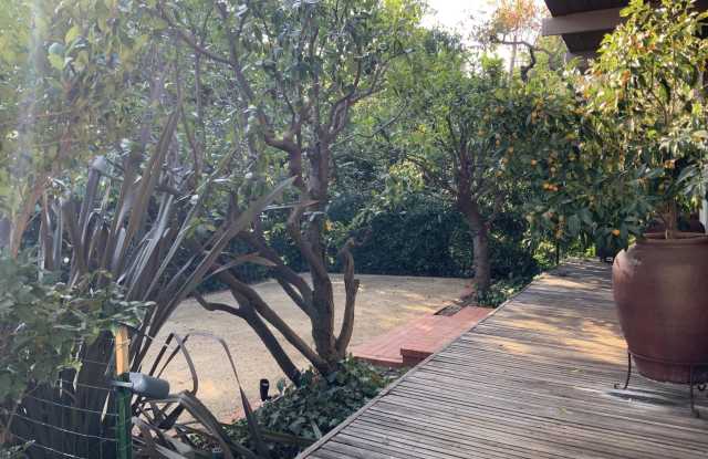 473 Palmetto Drive Gallery 4