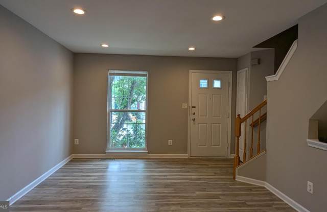 1875 TIGER LILY Circle Gallery 2
