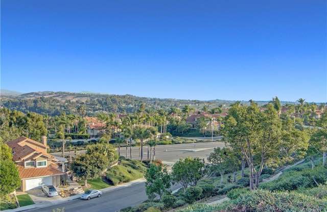 30312 Chapala Court - 30312 Chapala Court, Laguna Niguel, CA 92677