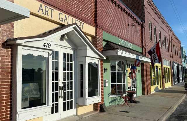 427 10th Avenue West - 427 10th Avenue West, Palmetto, FL 34221