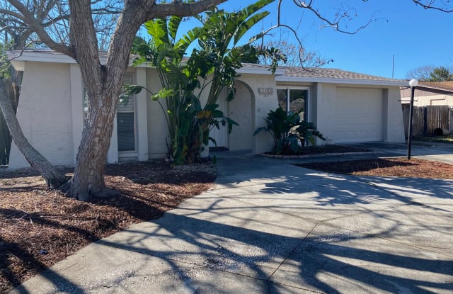 11031 McKinley Drive - 11031 McKinley Drive, Bayonet Point, FL 34668