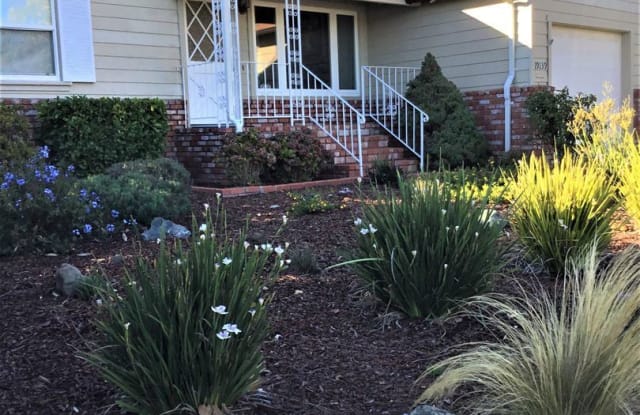 19139 Vaughn Ave - 19139 Vaughn Avenue, Castro Valley, CA 94546