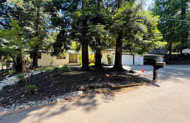 Gorgeous Single Level Home with Pool in Alamo Available Now! photos photos