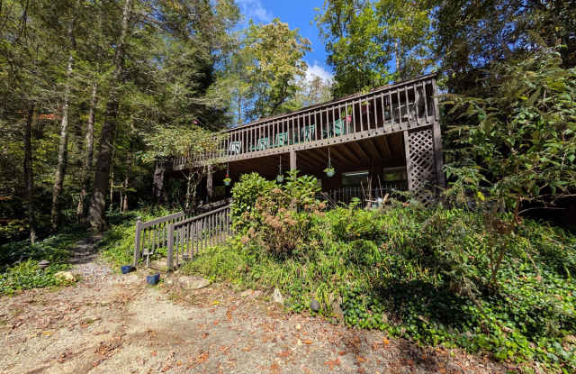Montreat School Year Rental!! Available August - May - Furnished Montreat Basement Apartment! - Utilities Included Gallery 3