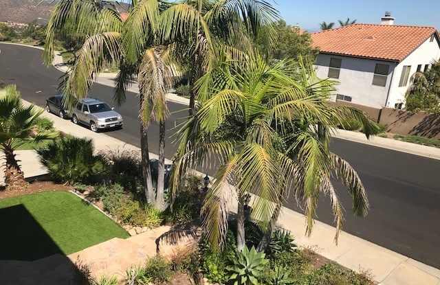 11728 Candy Rose Way Gallery 4