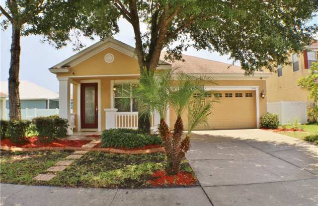 1046 NAPOLEAN WAY - 1046 Napoleon Way, Wesley Chapel, FL 33544