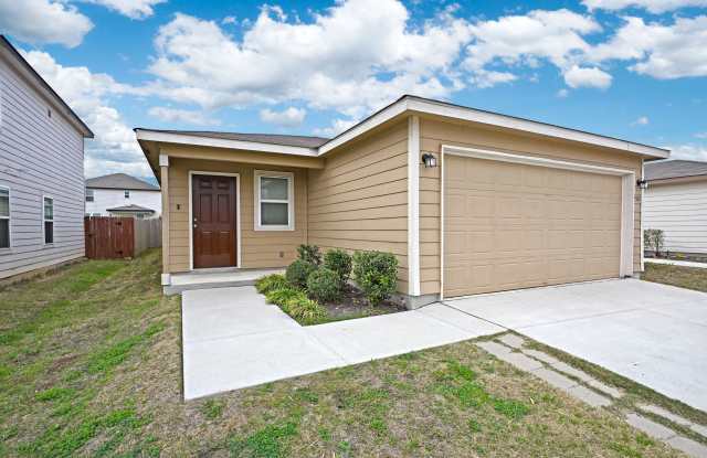 458 Russian Sage photos photos