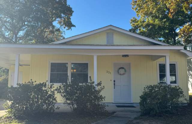 FULLY FURNISHED Wooded Oak Island area 3 Bed/1 Bath - 221 Northeast 55th Street, Oak Island, NC 28465