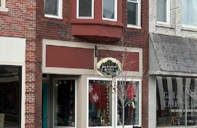 143 N Main - 143 North Main Street, Adrian, MI 49221
