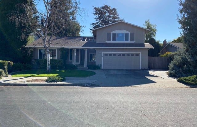 5234 Blackbird Dr. - 5234 Blackbird Drive, Pleasanton, CA 94566