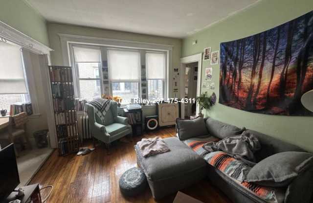 224 Kelton - 224 Kelton Street, Boston, MA 02134