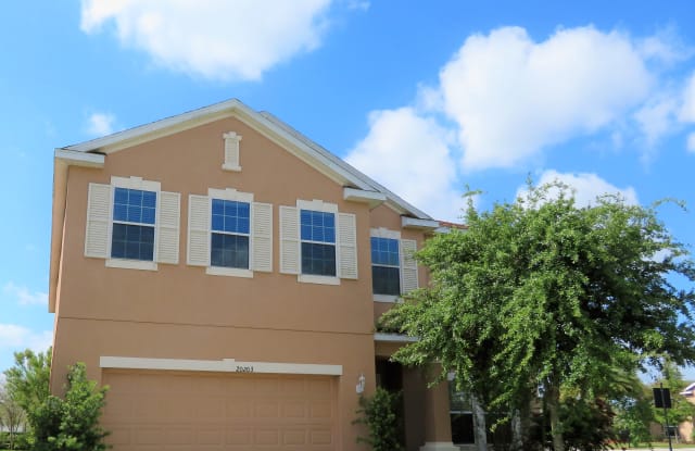 20203 Autumn Fern Ave - 20203 Autum Fern Avenue, Pebble Creek, FL 33647