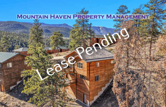 210 Virginia Road - 210 Virginia Road, Park County, CO 80421