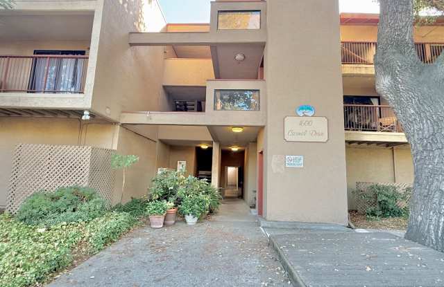 One Bedroom One Bath Condo Available in Walnut Creek!!!! photos photos
