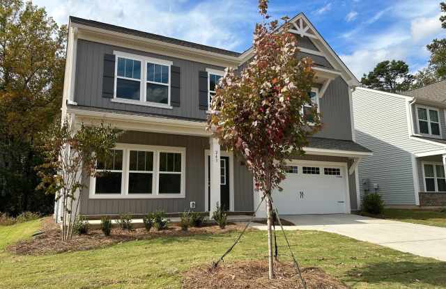 243 Parkmont Drive - 243 Parkmont Drive, Iredell County, NC 28166