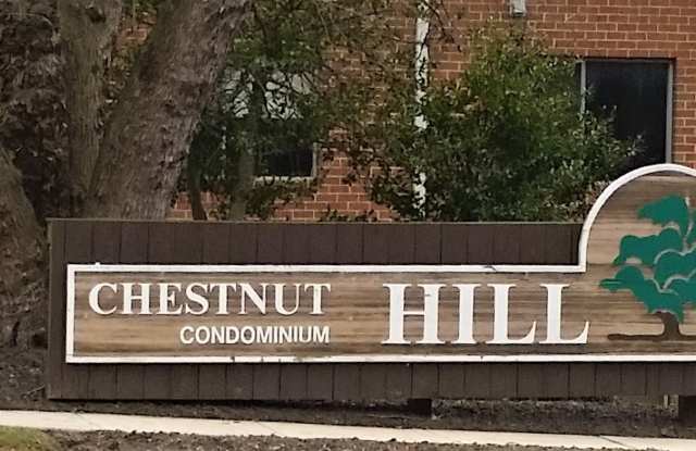 Spacious 1BR Condo with Modern Comforts! Rarely Available in Chestnut Hill Community of Reisterstown. - 204 Cork Lane, Reisterstown, MD 21136
