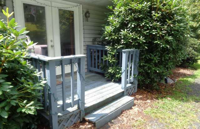 196 Clyde Williams Road - 196 Clyde Williams Drive, Watauga County, NC 28607