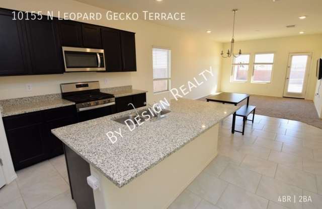 Saguaro Bloom 4 Bed 2 Bath - 2021 Build photos photos