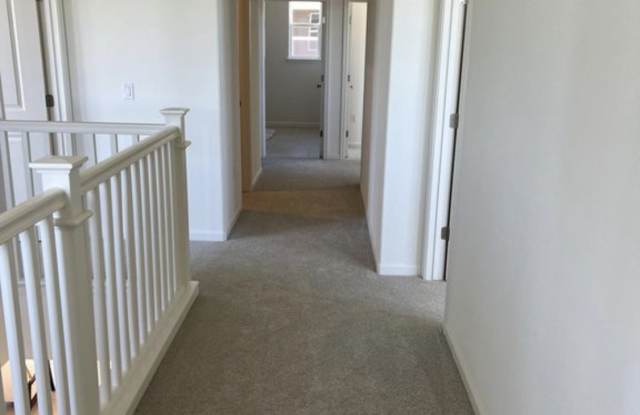 481 Tall Grass Wy Gallery 3